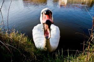 Konversation findet heute überall statt. (Foto: zettberlin | photocase) Konversation findet überall statt. (Foto: zettberlin | photocase)