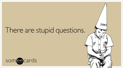 stupid-questions-reminders-ecard-someecards
